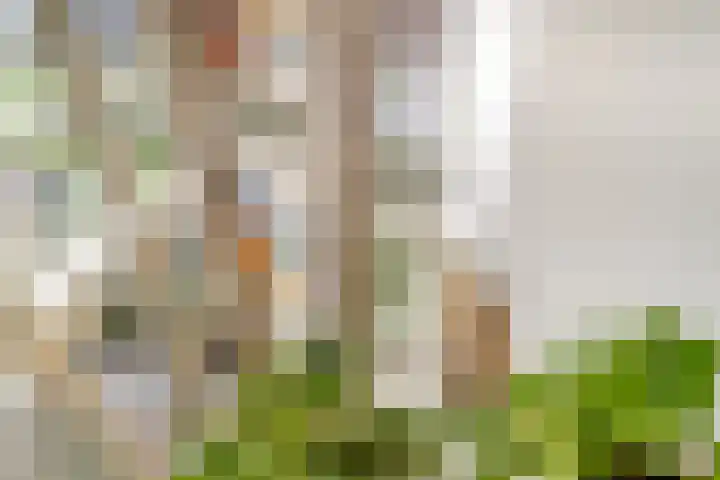 Madridstraat 88 B Utrecht thumbnail 35