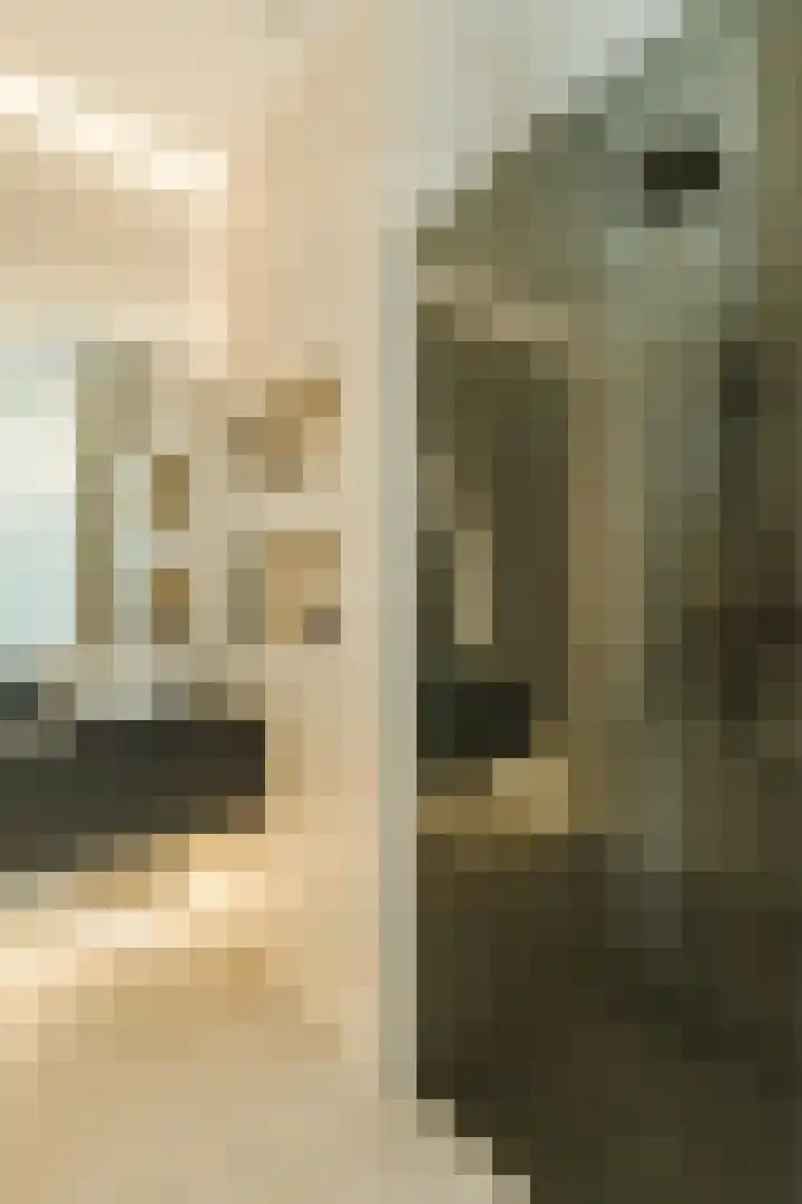 Madridstraat 88 J Utrecht thumbnail 18