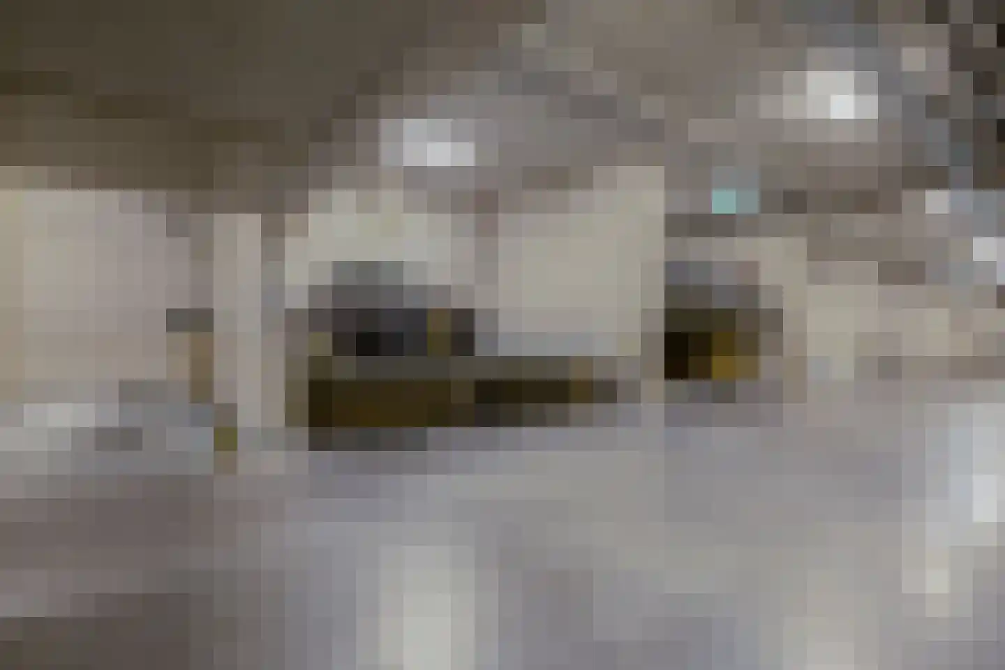 Madridstraat 92 E Utrecht thumbnail 42