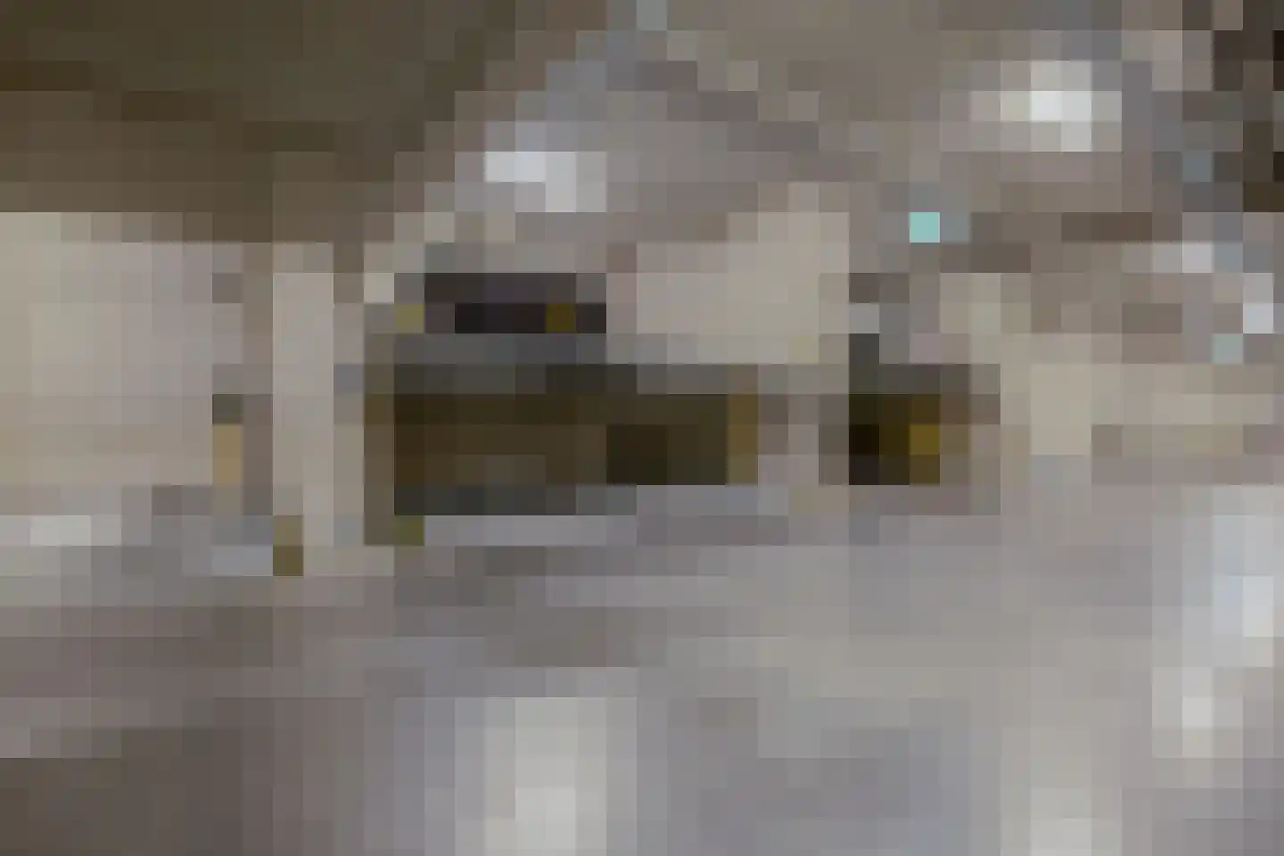 Madridstraat 92 E Utrecht thumbnail 43