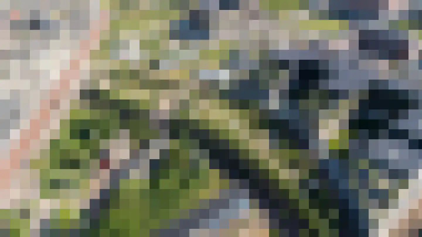 Madridstraat 94 L Utrecht thumbnail 51
