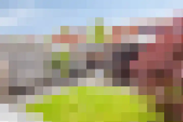 Madrigaal 21 Kampen thumbnail 6