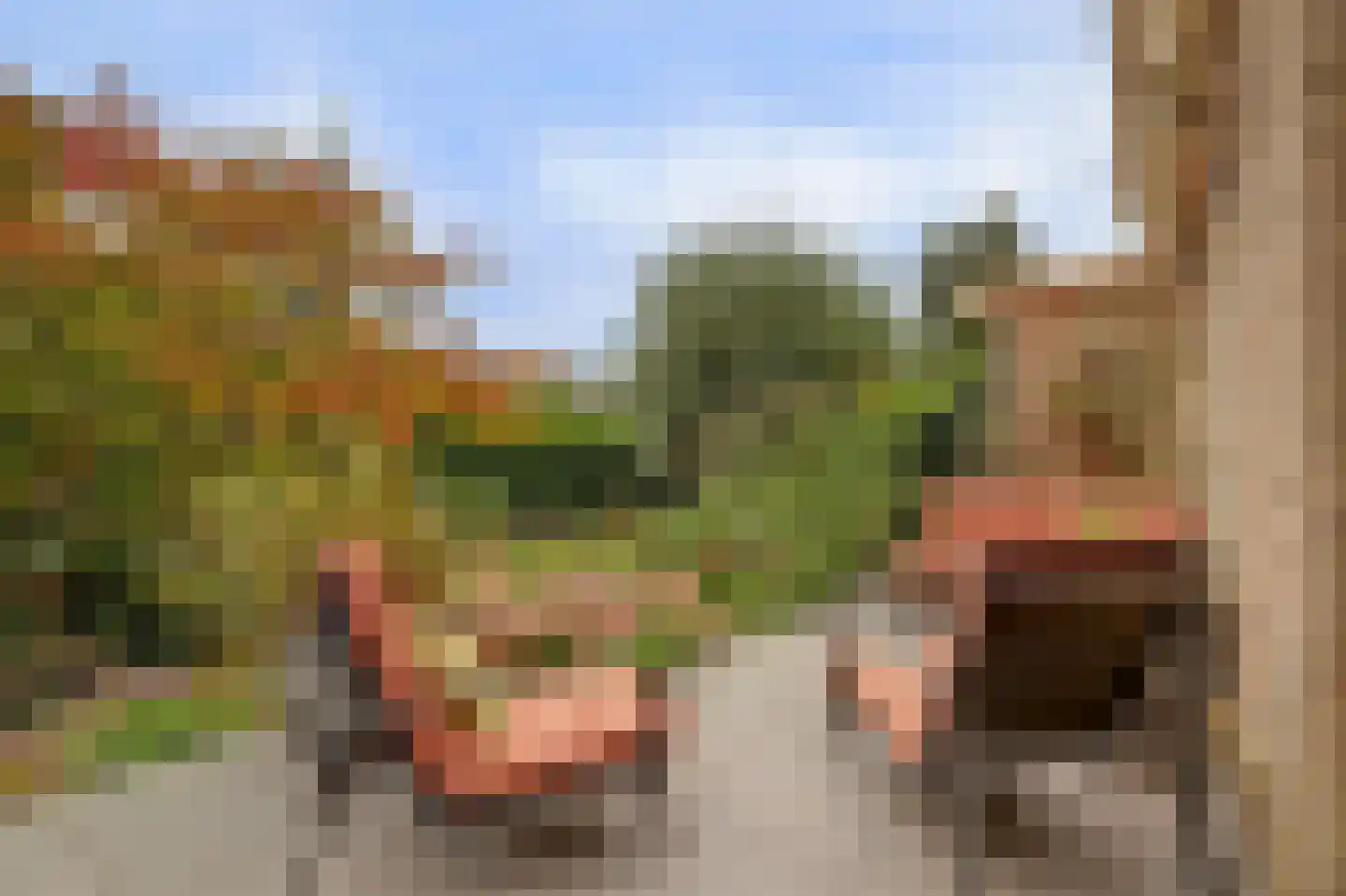 Madrigaalhof 6 a Gouda thumbnail 44