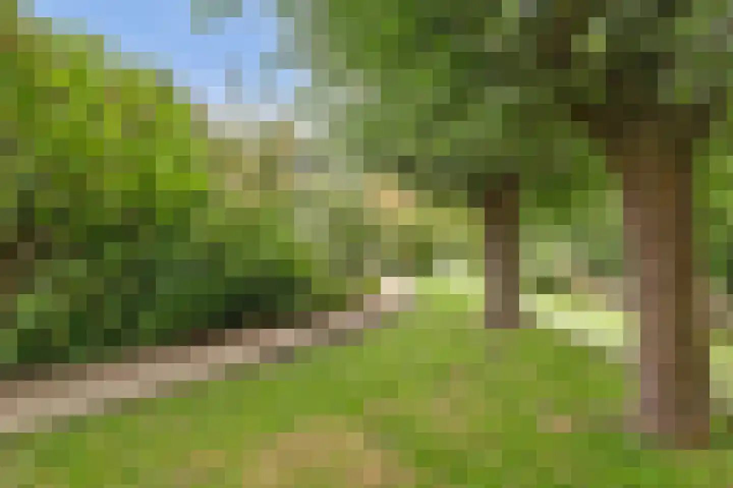 Madrigaalhof 6 a Gouda thumbnail 56