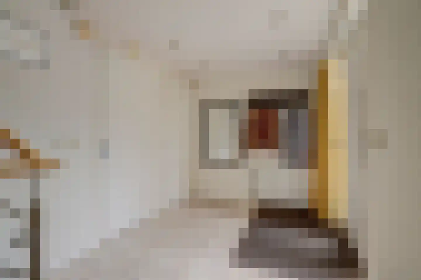 Madrigaalhof 6 a Gouda thumbnail 8