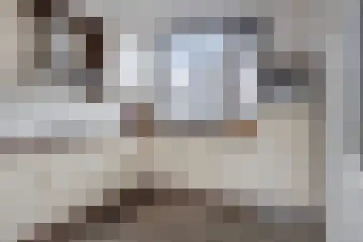 Madroelstraat 14 Pernis Rotterdam thumbnail 4