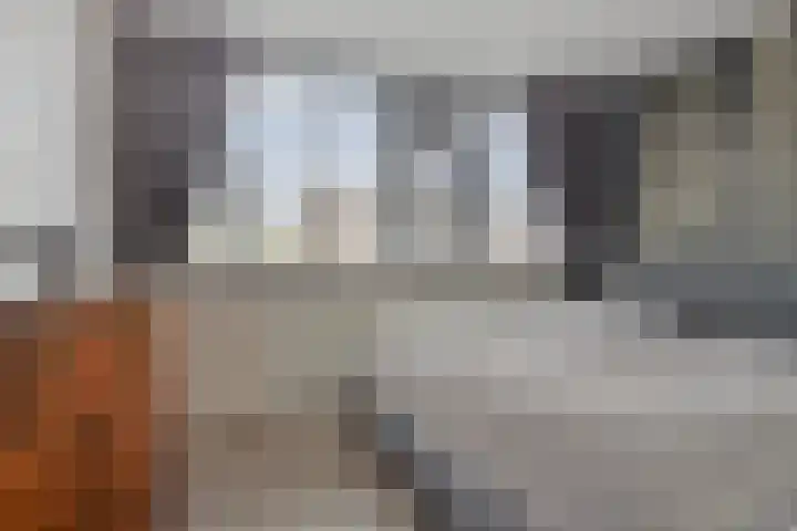 Madroelstraat 14 Pernis Rotterdam thumbnail 5