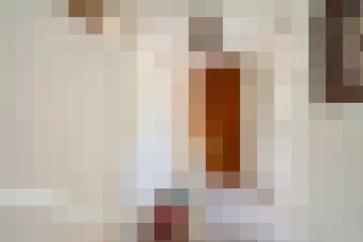 Madroelstraat 18 Pernis Rotterdam thumbnail 30
