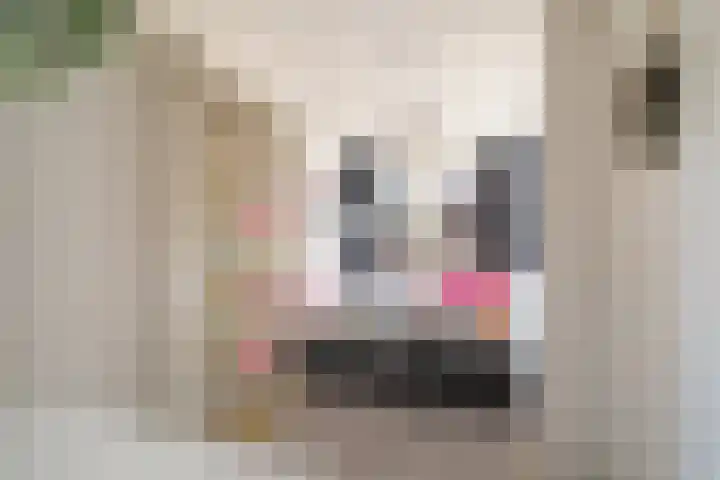 Madroelstraat 18 Pernis Rotterdam thumbnail 31