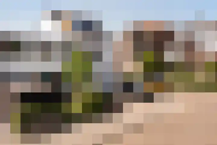 Madroelstraat 18 Pernis Rotterdam thumbnail 6