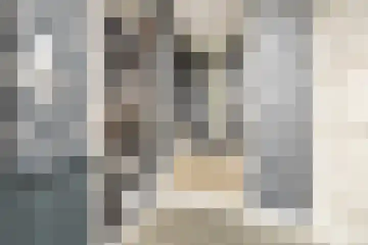 Madura 26 Purmerend thumbnail 12