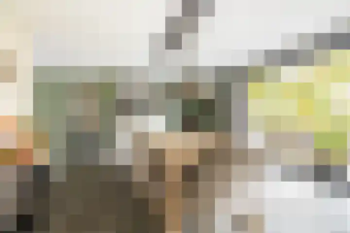 Madura 26 Purmerend thumbnail 18