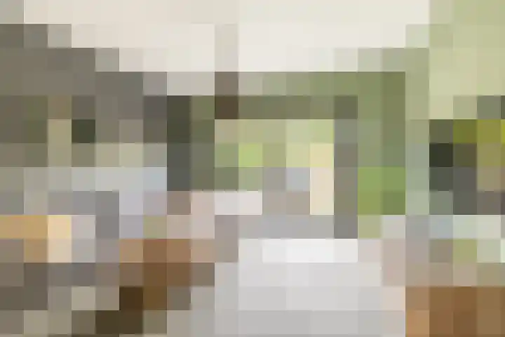 Madura 26 Purmerend thumbnail 21