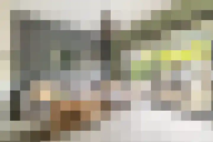 Madura 26 Purmerend thumbnail 22