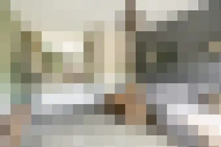 Madura 26 Purmerend thumbnail 23