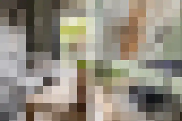 Madura 26 Purmerend thumbnail 24