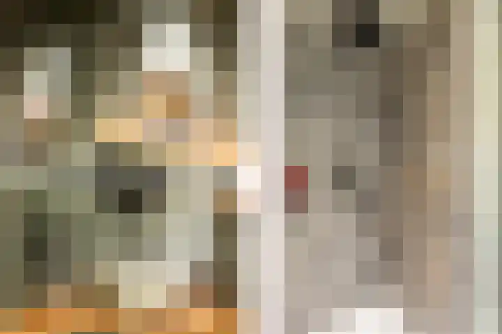 Madura 26 Purmerend thumbnail 4