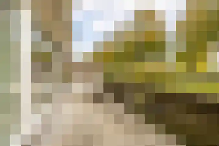 Madura 26 Purmerend thumbnail 42