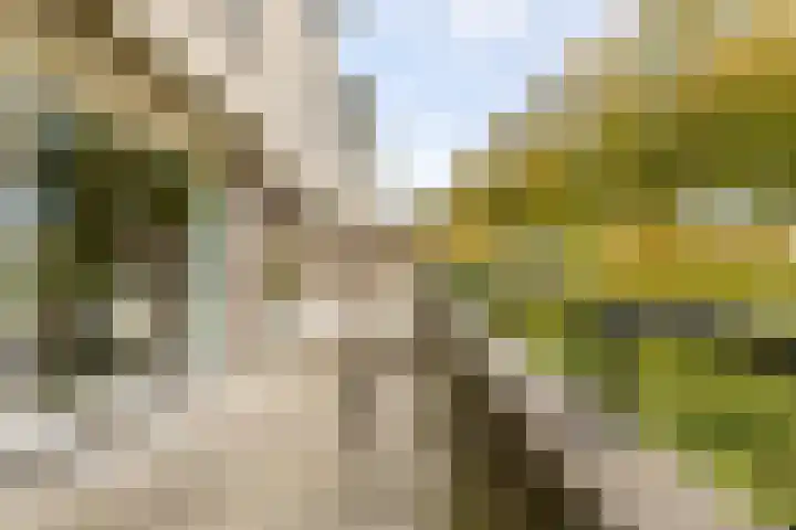 Madura 26 Purmerend thumbnail 43