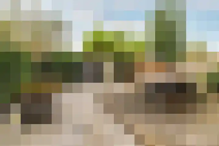 Madura 26 Purmerend thumbnail 47