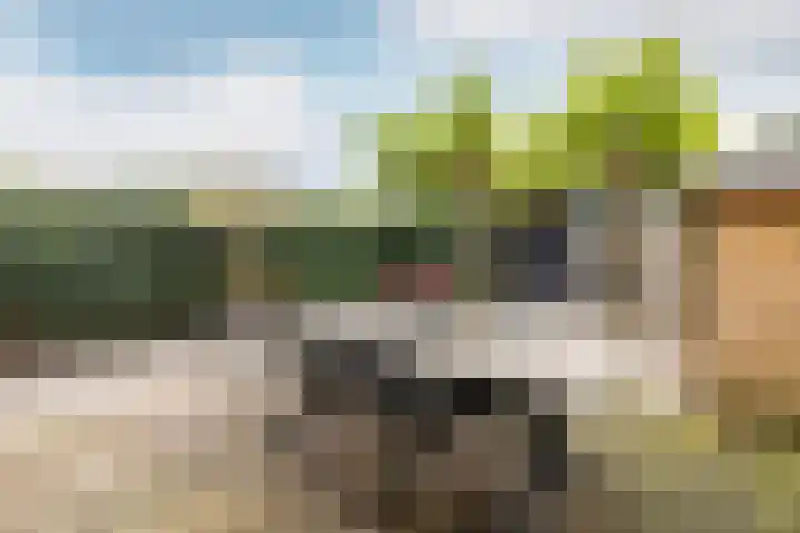 Madura 26 Purmerend thumbnail 48