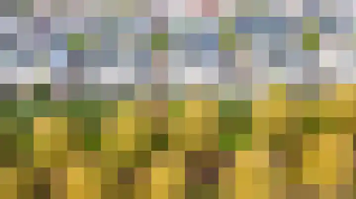 Madura 26 Purmerend thumbnail 49