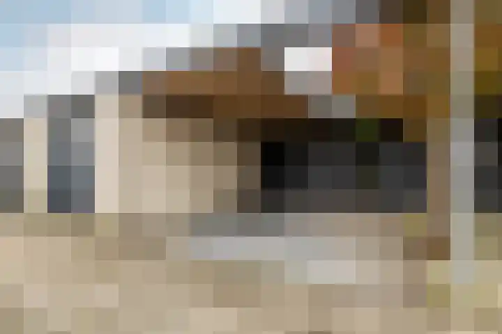 Madura 26 Purmerend thumbnail 7