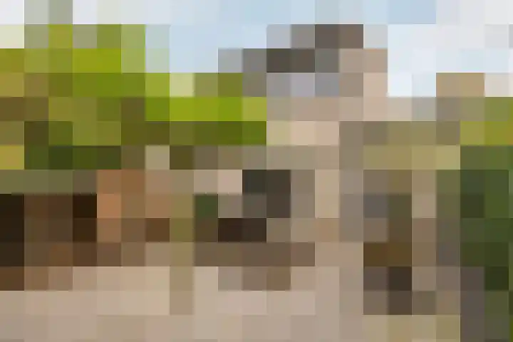 Madura 26 Purmerend thumbnail 8