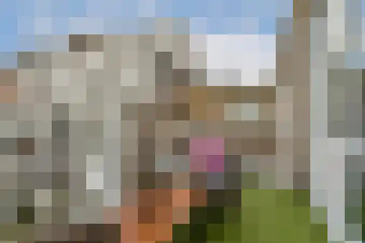 Madurastraat 2 F Amsterdam thumbnail 12