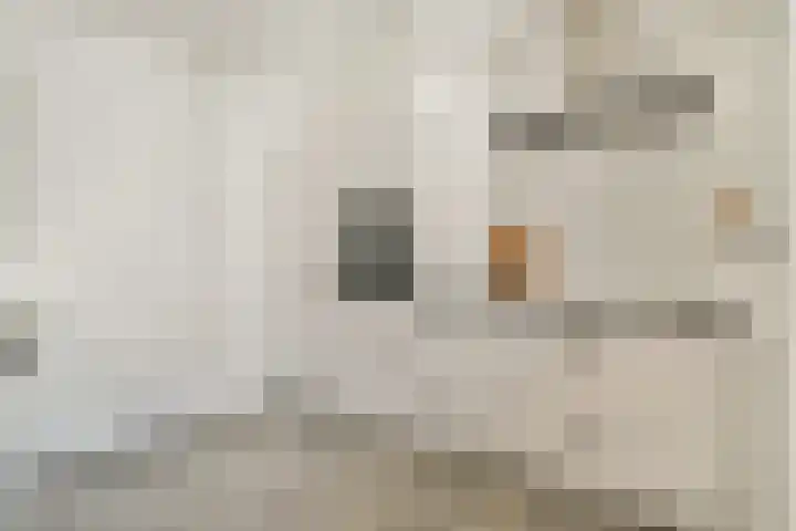Madurastraat 2 F Amsterdam thumbnail 7