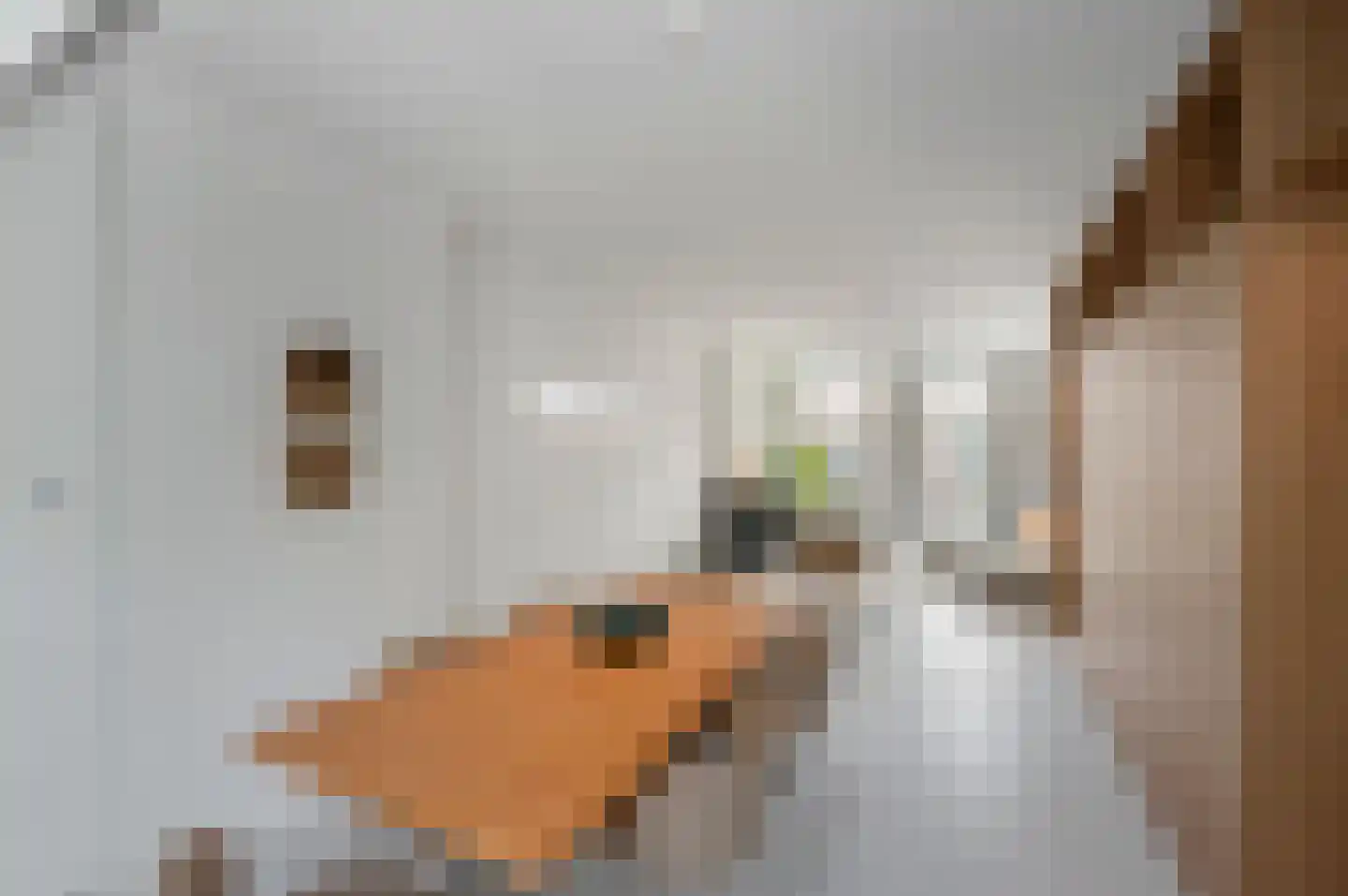 Madurastraat 53 3 Amsterdam thumbnail 9