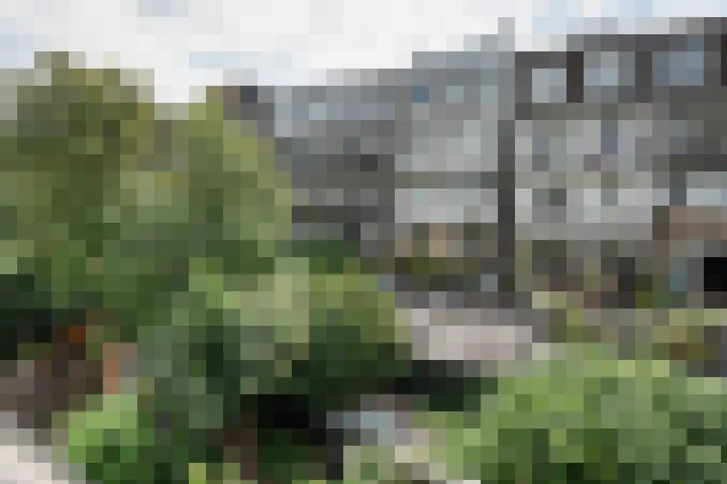 Madurastraat 54 2 Amsterdam thumbnail 12