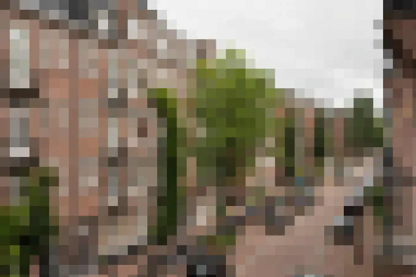 Madurastraat 54 2 Amsterdam thumbnail 29