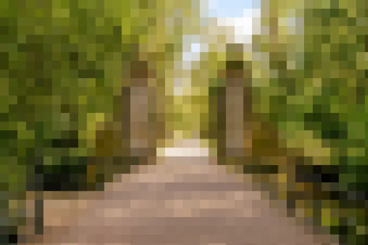 Madurastraat 57 1 Amsterdam thumbnail 35