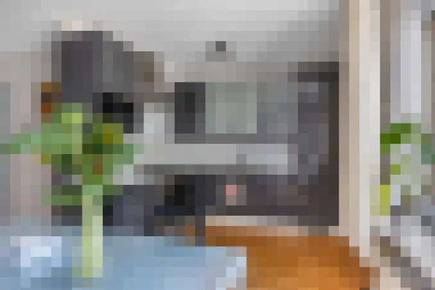 Maedfinne 9 Workum thumbnail 10