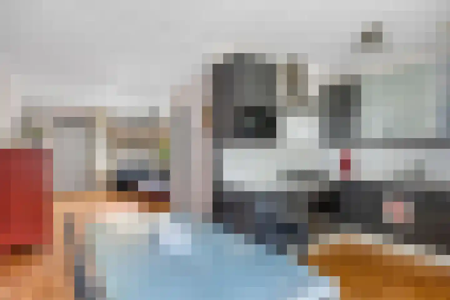 Maedfinne 9 Workum thumbnail 11