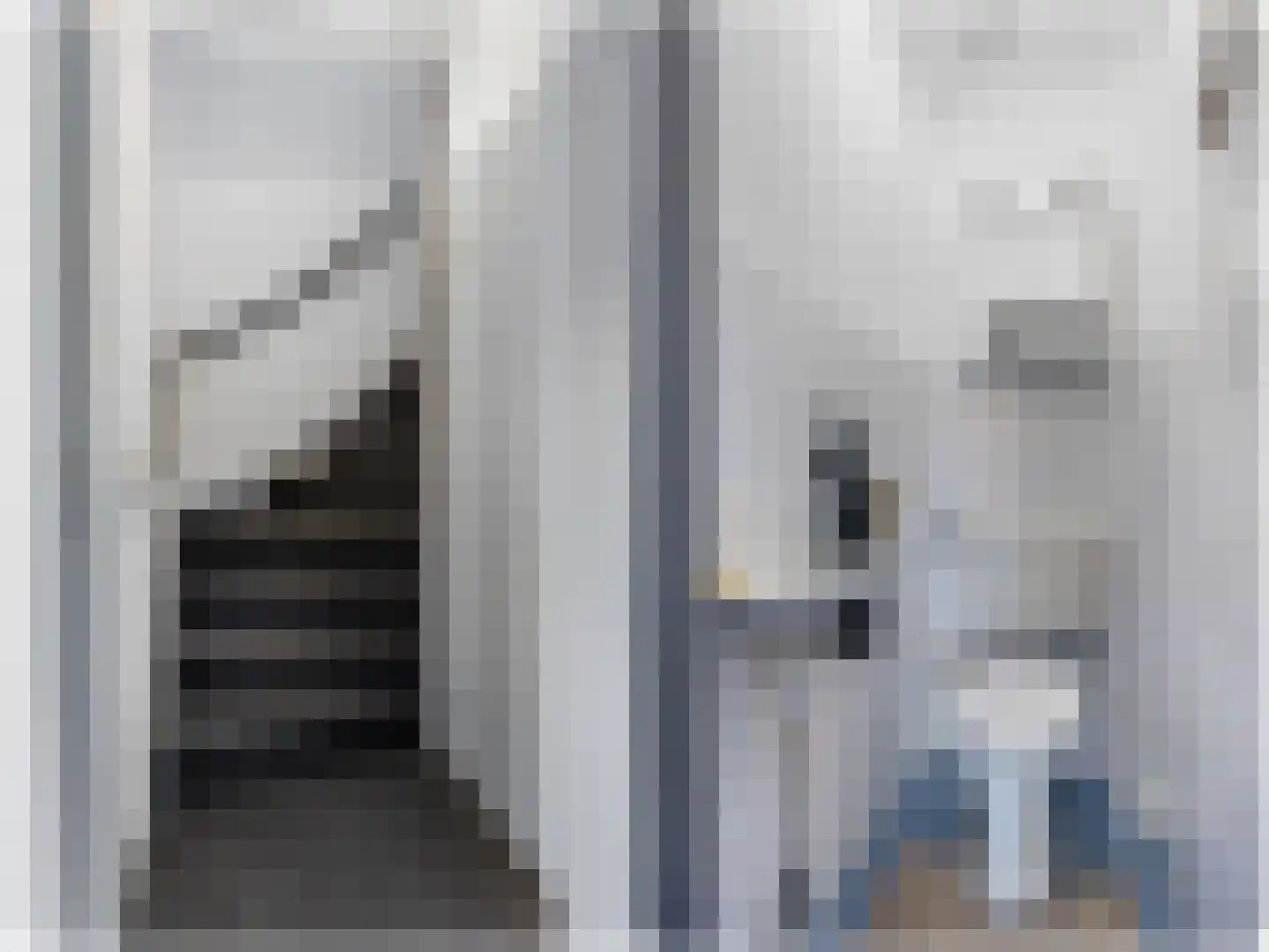Maedfinne 9 Workum thumbnail 14