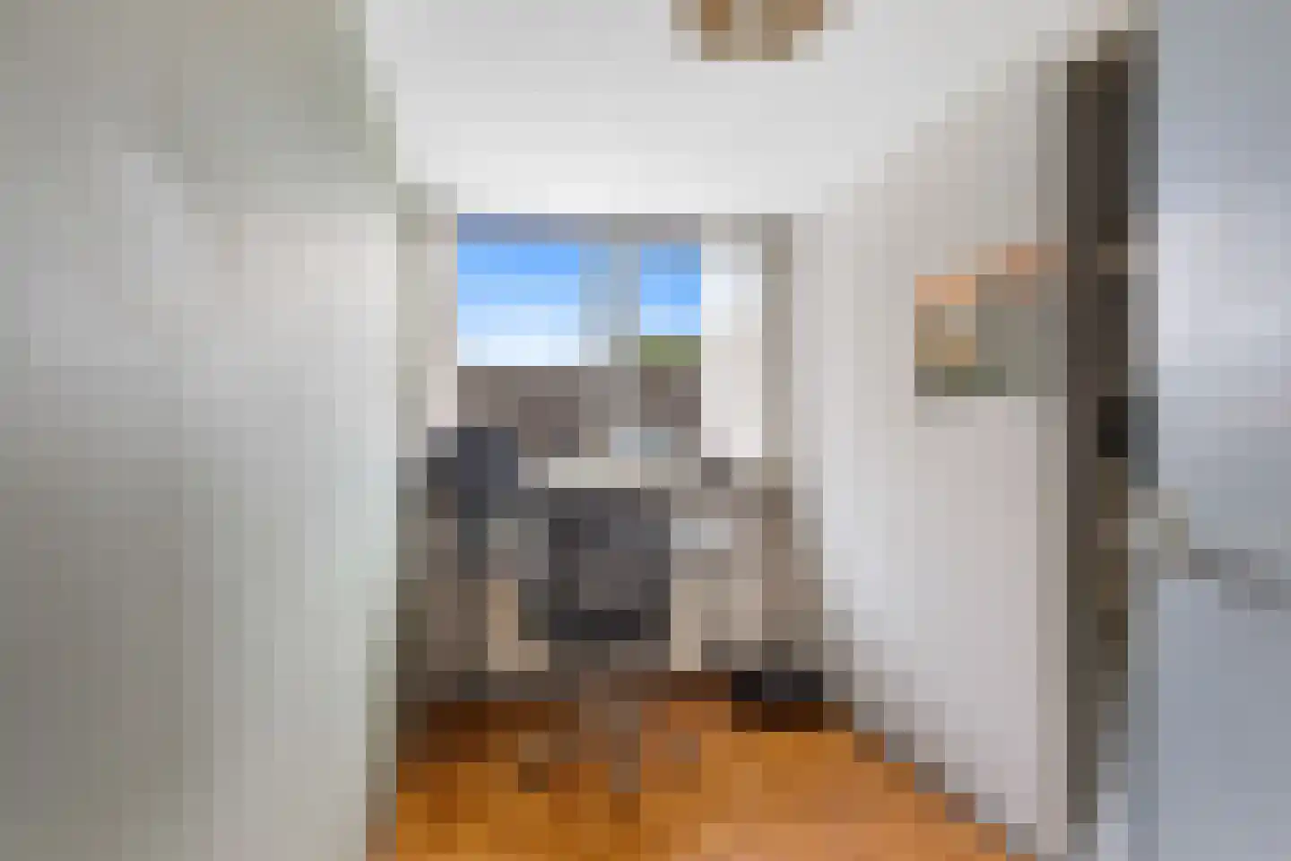 Maedfinne 9 Workum thumbnail 19