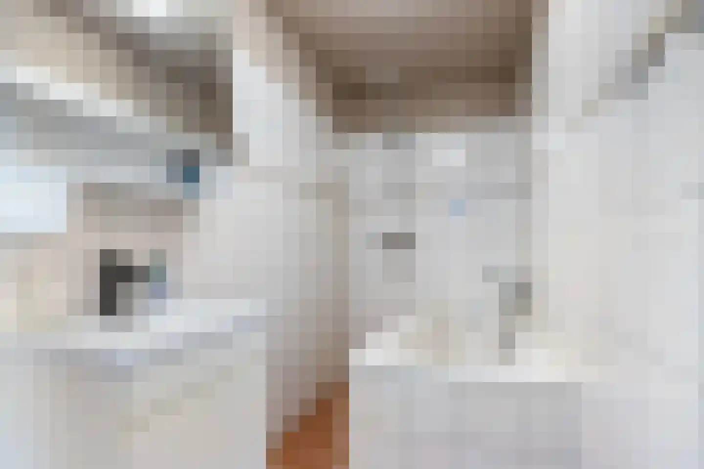 Maedfinne 9 Workum thumbnail 20