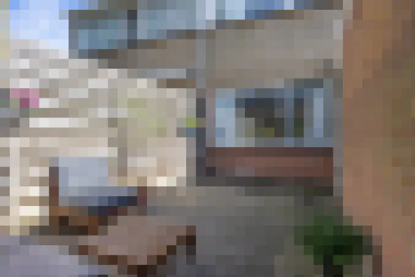 Maedfinne 9 Workum thumbnail 22