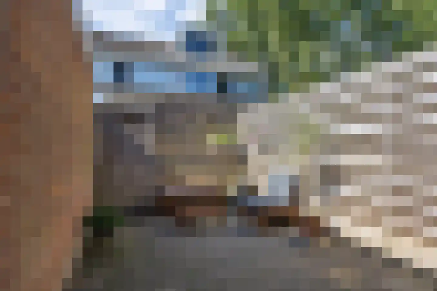 Maedfinne 9 Workum thumbnail 23