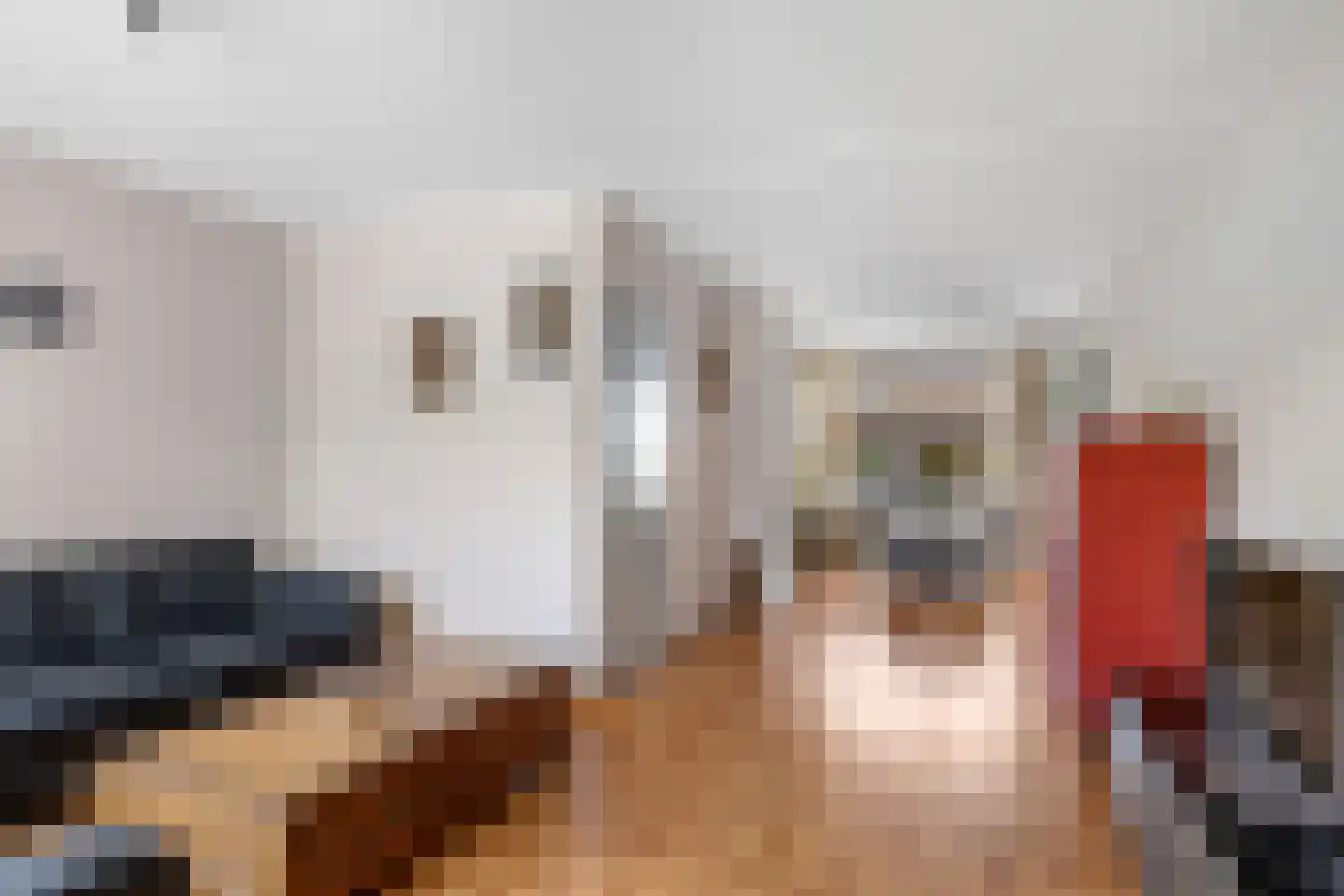 Maedfinne 9 Workum thumbnail 5