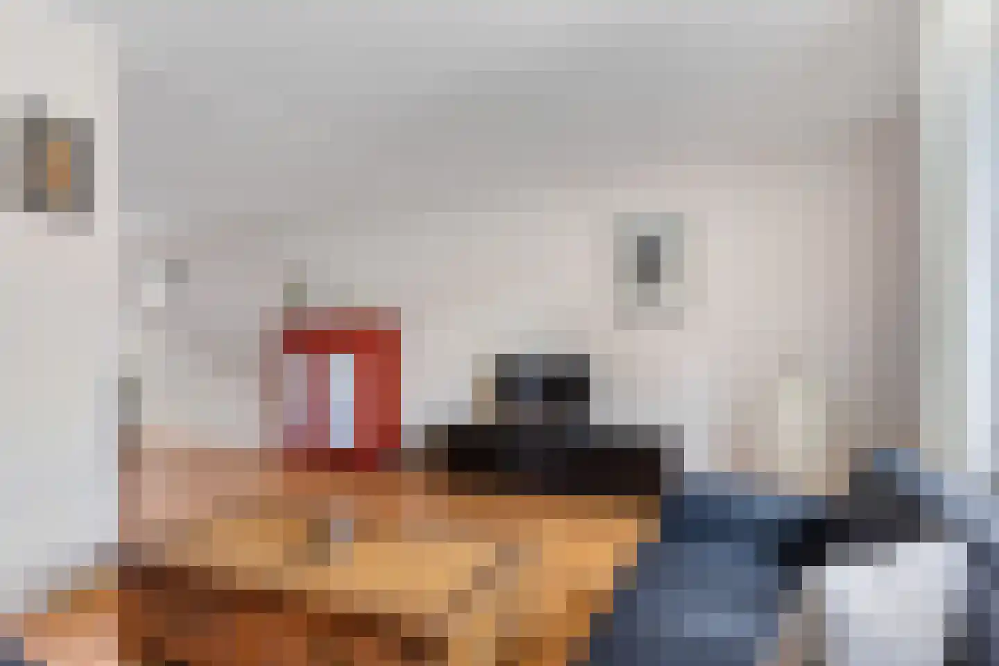 Maedfinne 9 Workum thumbnail 7