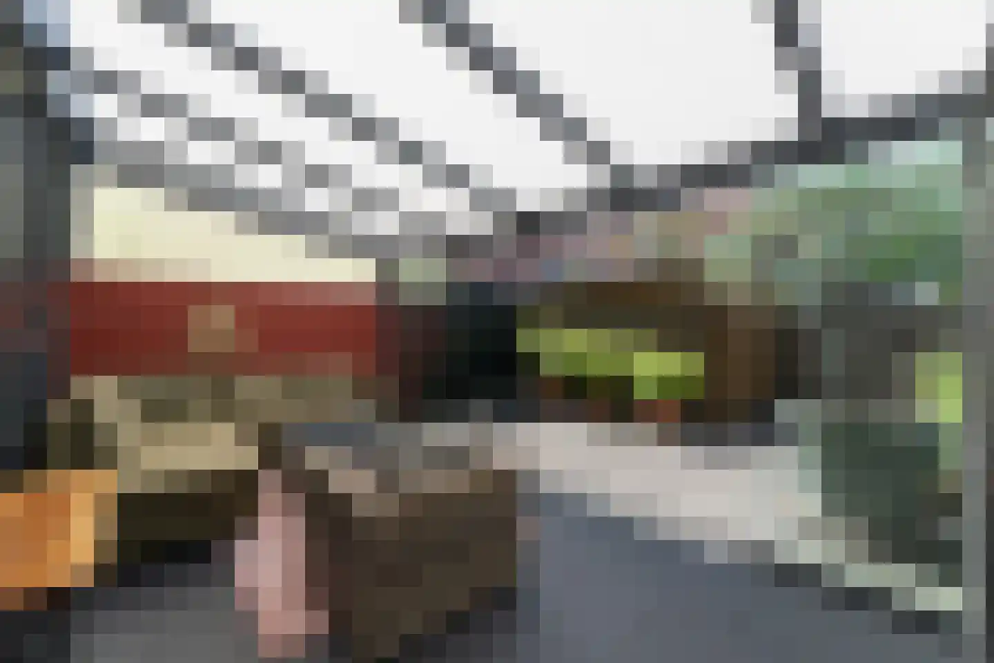 Maelsonweg 7 Enkhuizen thumbnail 8