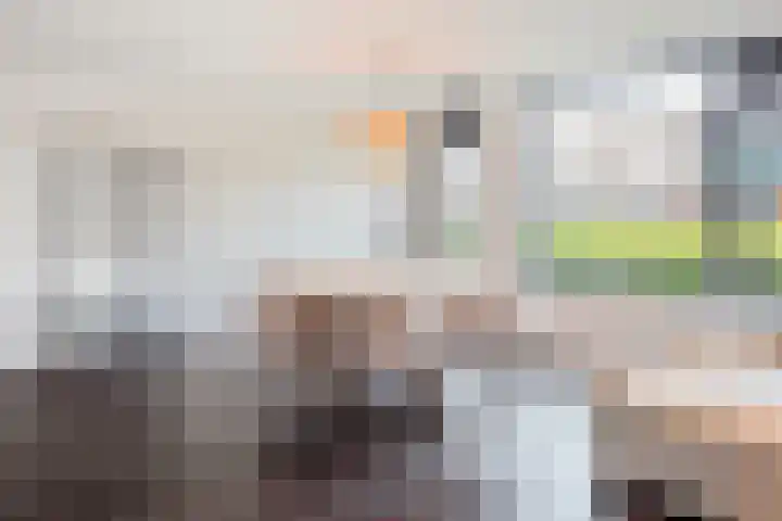 Maerelaan 14 B Heemskerk thumbnail 10