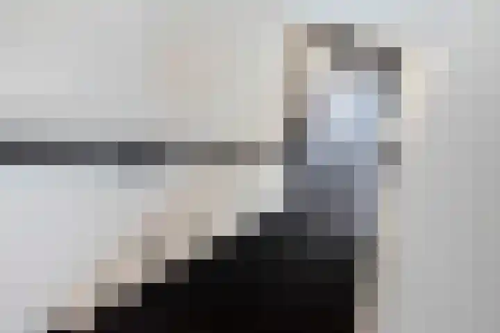 Maerelaan 14 B Heemskerk thumbnail 37