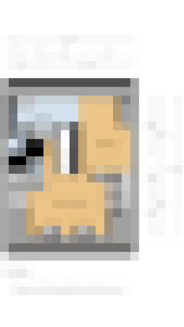 Maerelaan 14 B Heemskerk thumbnail 68