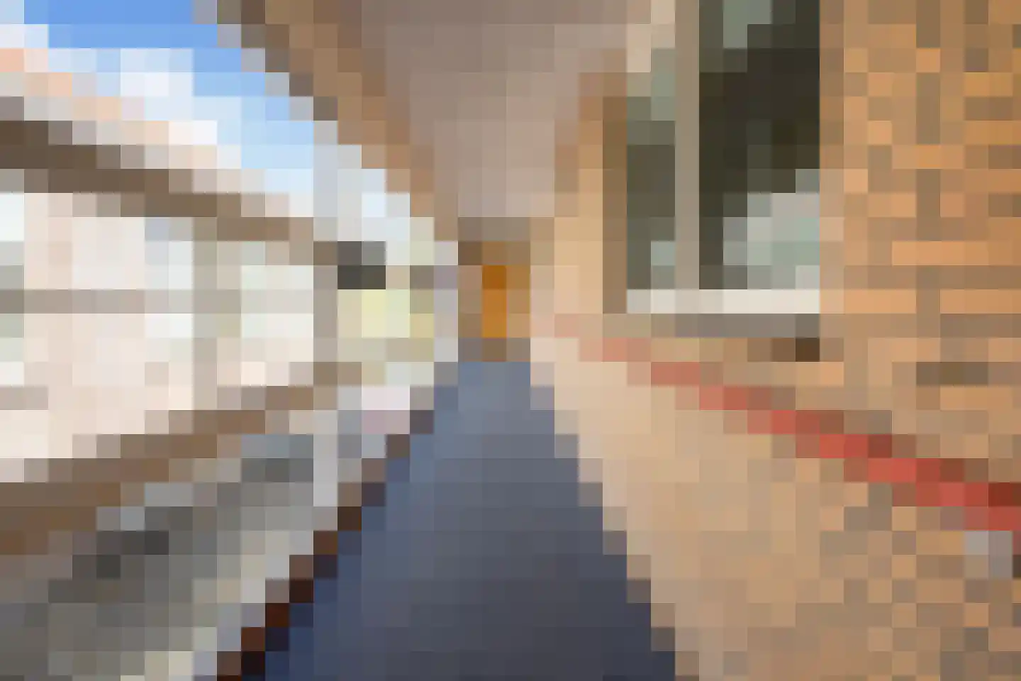 Maerelaan 19 E Heemskerk thumbnail 6