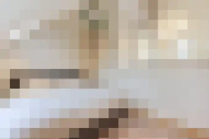 Maerelaan 3 Heemskerk thumbnail 30