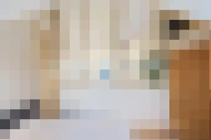 Maerelaan 3 Heemskerk thumbnail 31